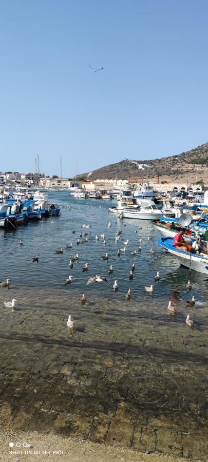 Centralissima فافينانا المظهر الخارجي الصورة